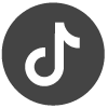 tiktok icon